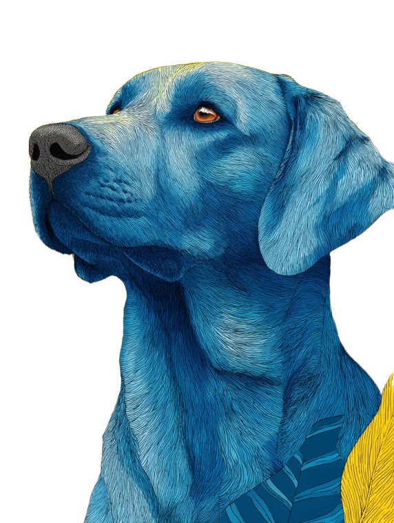 Abstract Labrador Vinyl Car Decal Sticker – Waterproof & UV-Resistant 8.213333333333333"