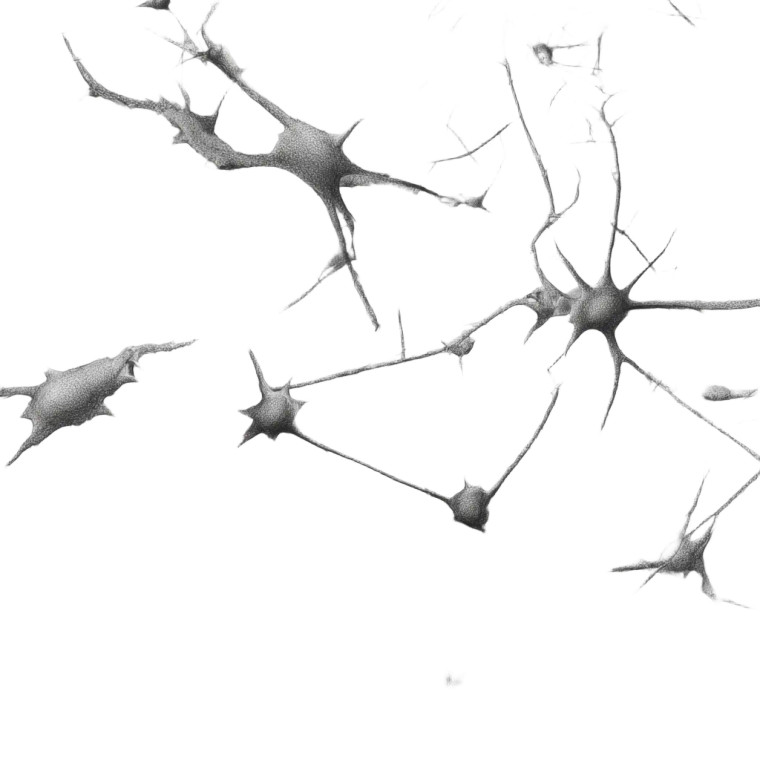 Neuron Pencil Drawing Vinyl Car Decal Sticker – Waterproof & UV-Resistant 3.4133333333333336"