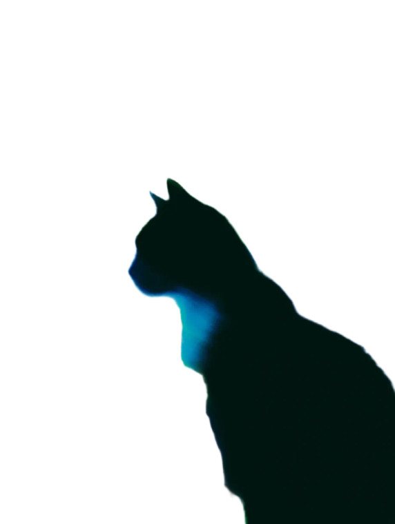 Dreamlike Cat Silhouette Vinyl Car Decal Sticker – Waterproof & UV-Resistant 4.1066666666666665"