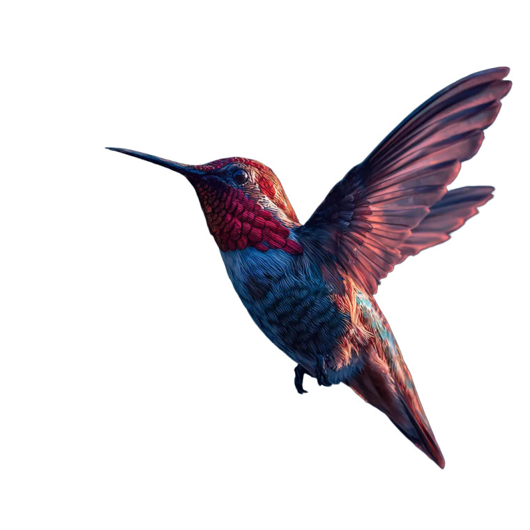 Night Sky Hummingbird Vinyl Car Decal Sticker – Waterproof & UV-Resistant 6.826666666666667"