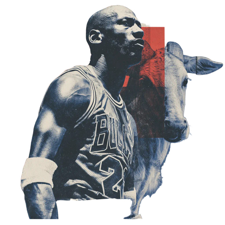 Michael Jordan Goat Vinyl Car Decal Sticker – Waterproof & UV-Resistant 6.826666666666667"