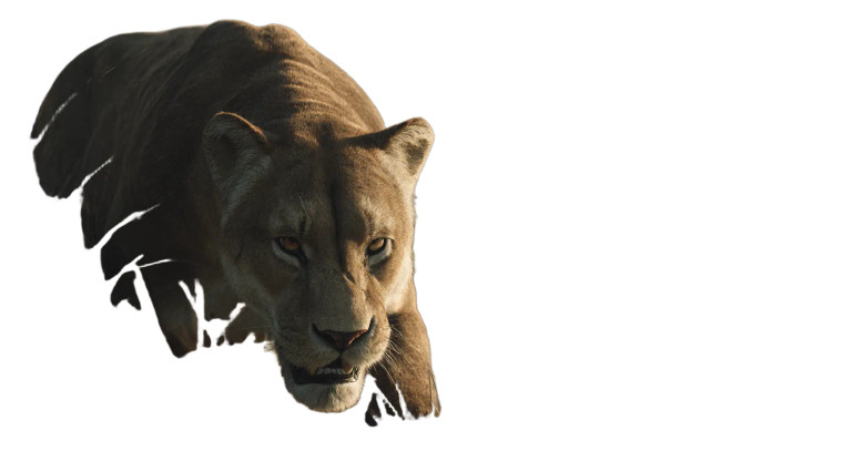 American Lion Ambush Vinyl Car Decal Sticker – Waterproof & UV-Resistant 2.72"