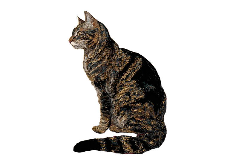 Stylized Cat Scene V2 Vinyl Car Decal Sticker – Waterproof & UV-Resistant 6.0