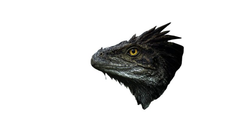 Mythical Basilisk Vinyl Car Decal Sticker – Waterproof & UV-Resistant 5.4