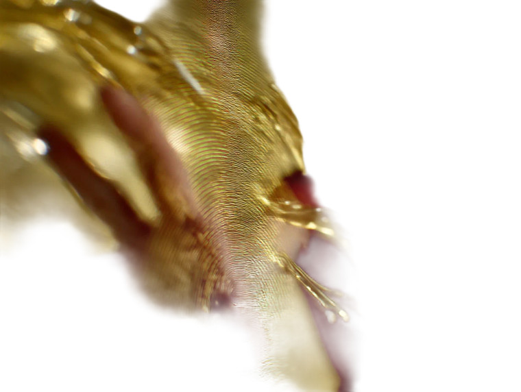 Futuristic Biometric Touch Vinyl Car Decal Sticker – Waterproof & UV-Resistant 6.1866666666666665"