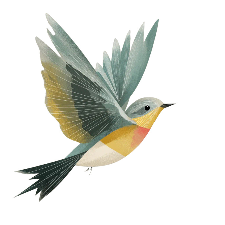 Flying Bird Illustration V2 Vinyl Car Decal Sticker – Waterproof & UV-Resistant 6.826666666666667"