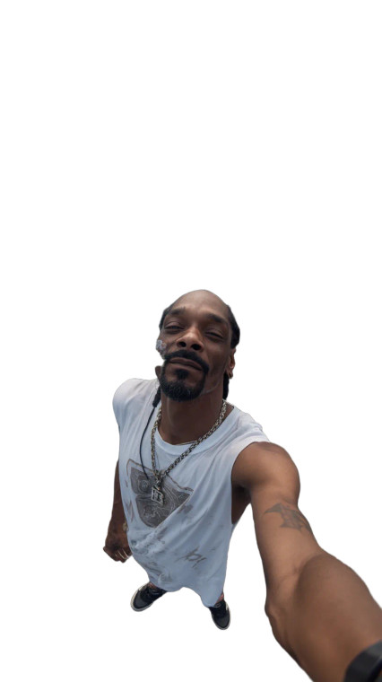 Snoop Dogg Selfie V2 Vinyl Car Decal Sticker – Waterproof & UV-Resistant 9.706666666666667"