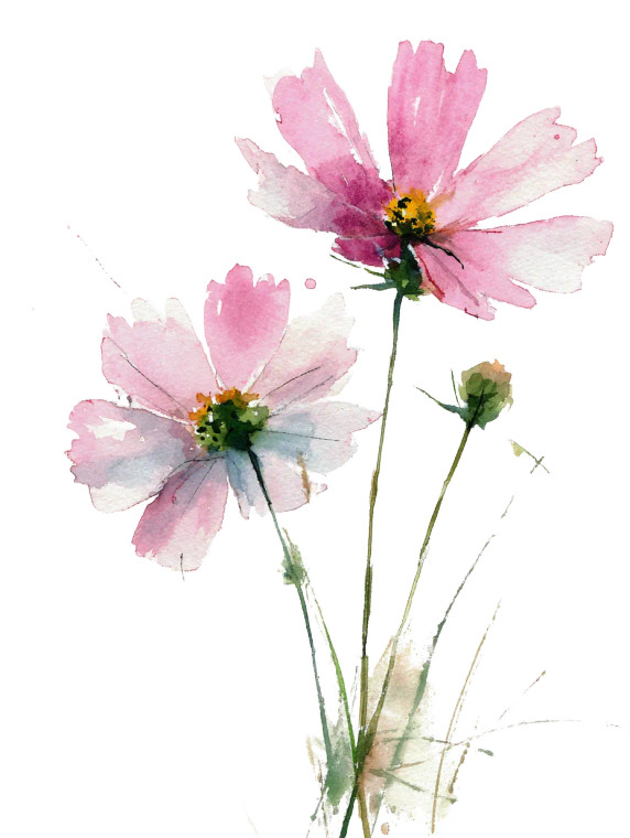 Pink Watercolor Flowers Vinyl Car Decal Sticker – Waterproof & UV-Resistant 4.1066666666666665"
