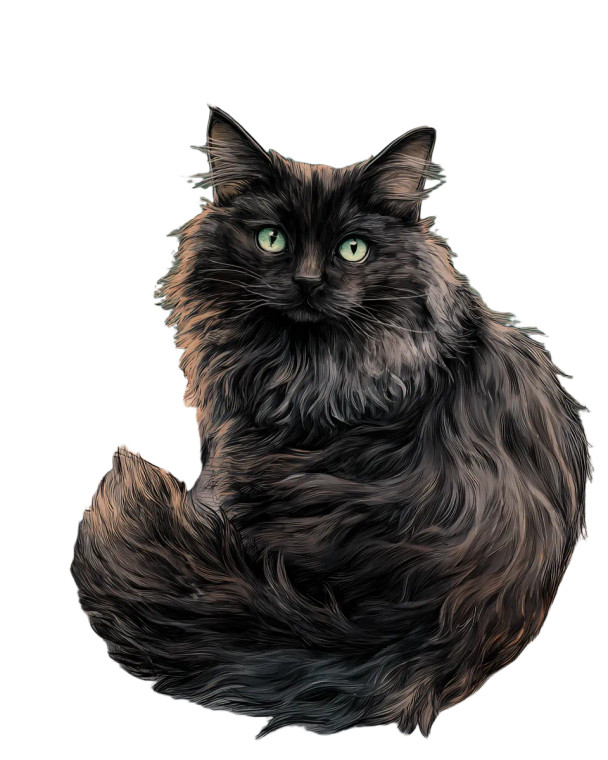 Regal Arcane Cat Vinyl Car Decal Sticker – Waterproof & UV-Resistant 8.0"