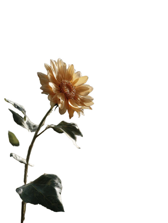 Solitary Sunflower Vinyl Car Decal Sticker – Waterproof & UV-Resistant 8.213333333333333"