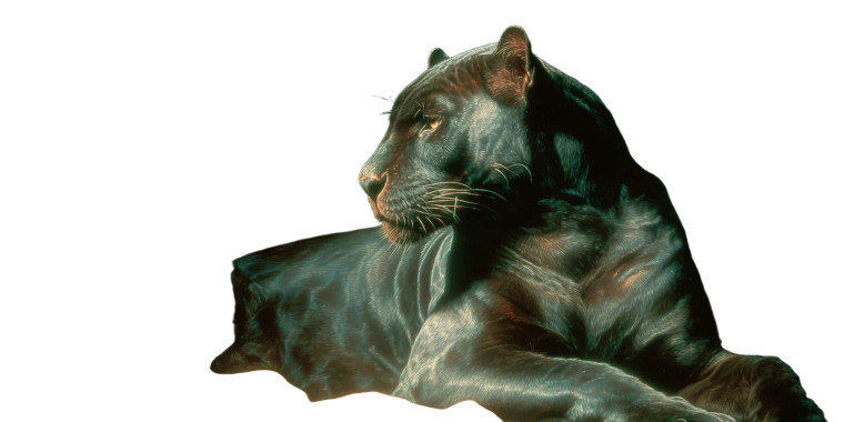 Black Panther Portrait V3 Vinyl Car Decal Sticker – Waterproof & UV-Resistant 5.12"