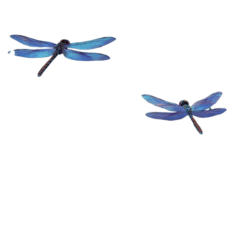 Dragonflies And Ladybugs Vinyl Car Decal Sticker – Waterproof & UV-Resistant 6.826666666666667"