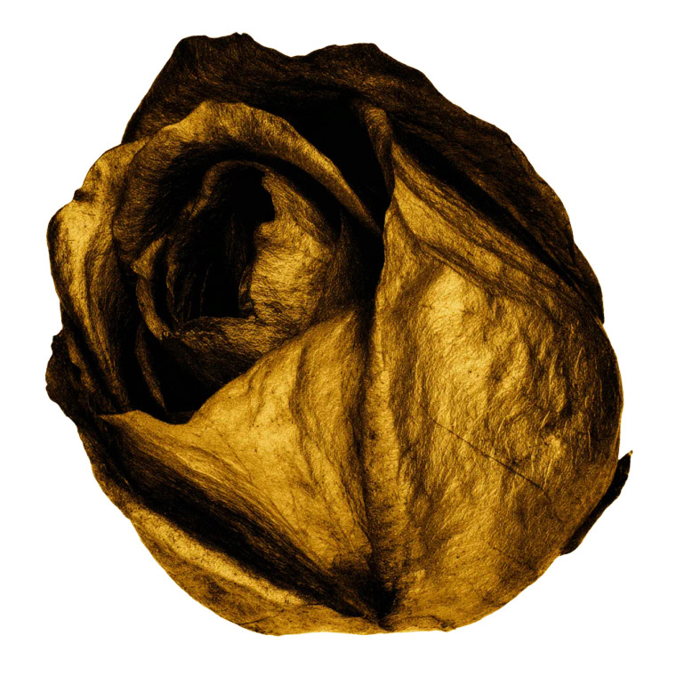 Golden Metallic Rose Vinyl Car Decal Sticker – Waterproof & UV-Resistant 6.826666666666667"