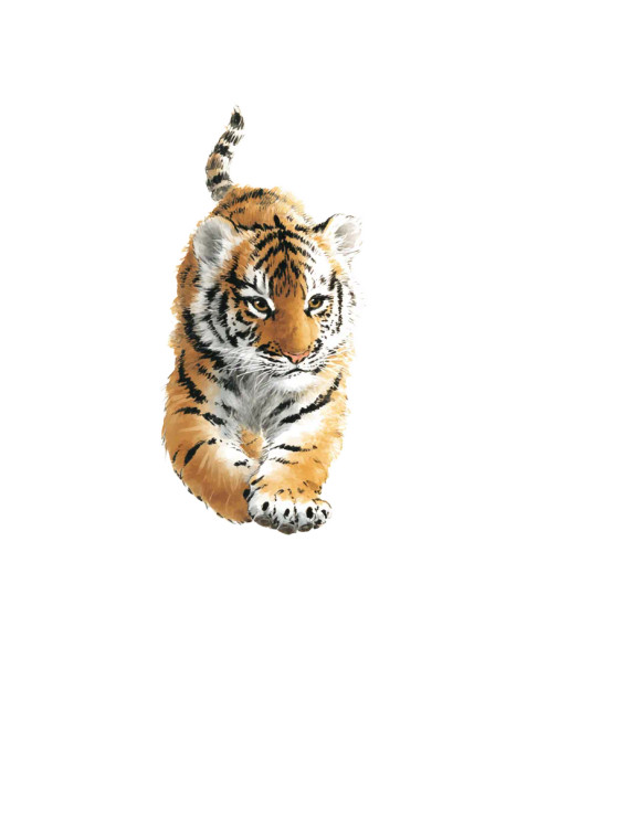 Cute Running Tiger Vinyl Car Decal Sticker – Waterproof & UV-Resistant 4.1066666666666665"