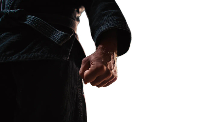 Victorious Martial Moment Vinyl Car Decal Sticker – Waterproof & UV-Resistant 5.4