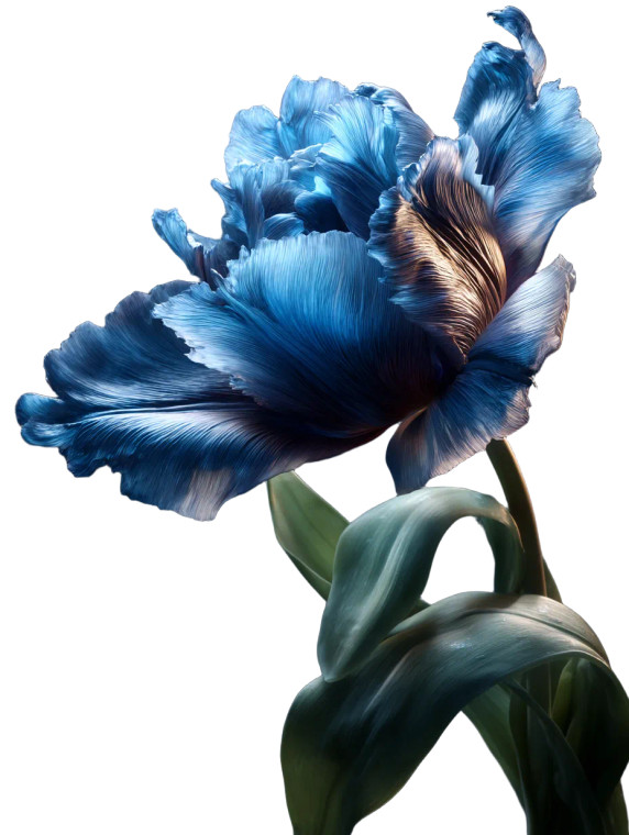 Dragon Knight V14 Vinyl Car Decal Sticker – Waterproof & UV-Resistant 4.1066666666666665" Dragon Knight V14 Vinyl Car Decal Sticker – Waterproof & UV-Resistant 4.1066666666666665"