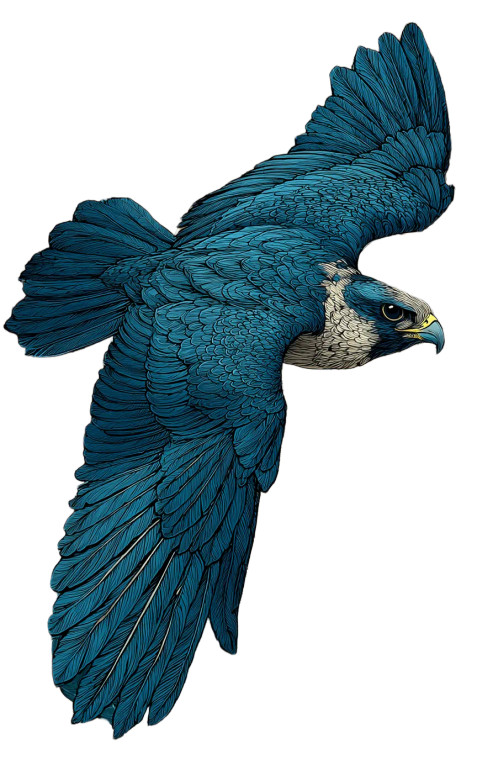 Gothic Hawk Flight Vinyl Car Decal Sticker – Waterproof & UV-Resistant 4.586666666666667"