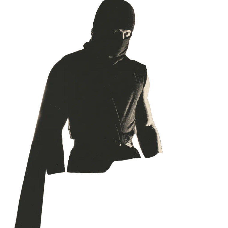 Masked Ninja Vinyl Car Decal Sticker – Waterproof & UV-Resistant 6.826666666666667"