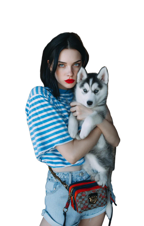 Fashion With Husky Vinyl Car Decal Sticker – Waterproof & UV-Resistant 9.17333333333333