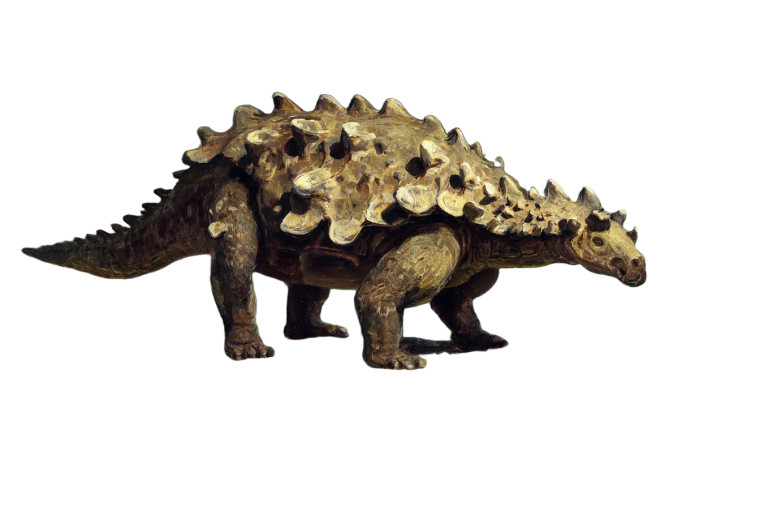 Ankylosaurus Painting Vinyl Car Decal Sticker – Waterproof & UV-Resistant 2.986666666666667"