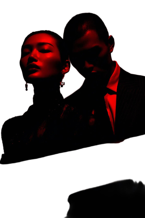 Rebellious Elegance Vinyl Car Decal Sticker – Waterproof & UV-Resistant 8.96"