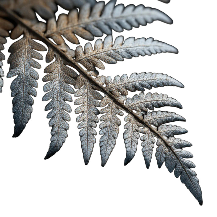 Mutant Chrome Fern Vinyl Car Decal Sticker – Waterproof & UV-Resistant 3.4133333333333336"