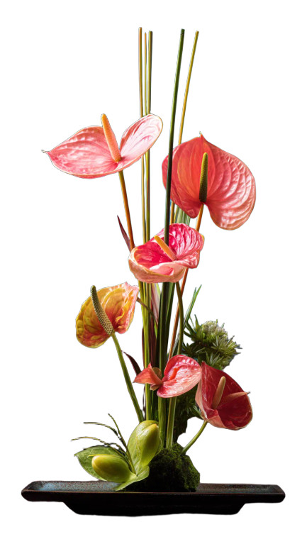 Anthurium Bouquet Vinyl Car Decal Sticker – Waterproof & UV-Resistant 4.8533333333333335"
