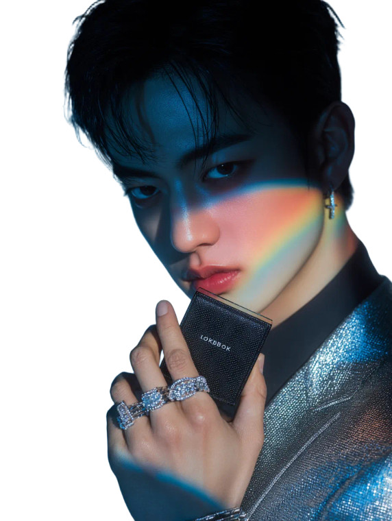 K-Pop Star Portrait V3 Vinyl Car Decal Sticker – Waterproof & UV-Resistant 8.213333333333333"
