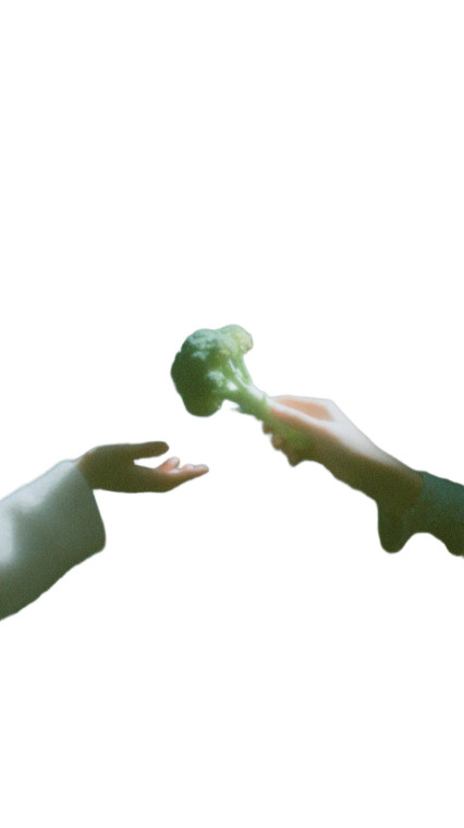 Hand Holding Broccoli Vinyl Car Decal Sticker – Waterproof & UV-Resistant 9.706666666666667"
