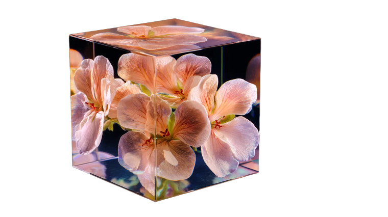 Luxury Geranium Cube Vinyl Car Decal Sticker – Waterproof & UV-Resistant 5.4