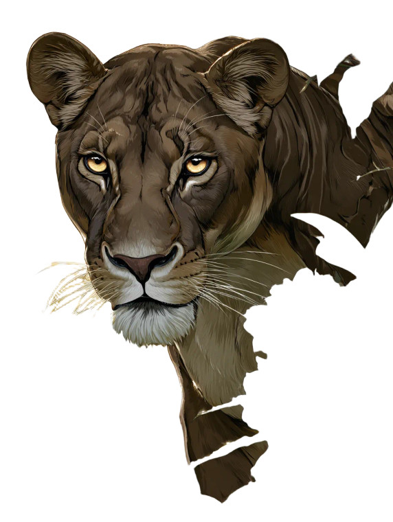Protective Lioness Vinyl Car Decal Sticker – Waterproof & UV-Resistant 8.213333333333333"