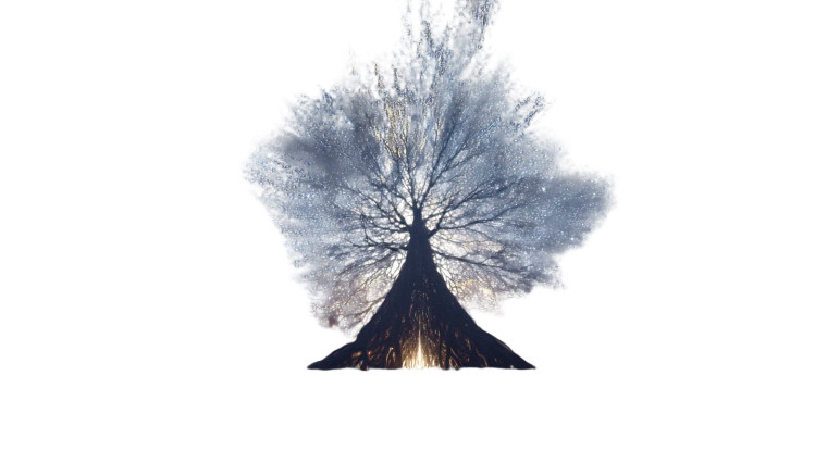 Skyward Spirit Tree Vinyl Car Decal Sticker – Waterproof & UV-Resistant 5.4