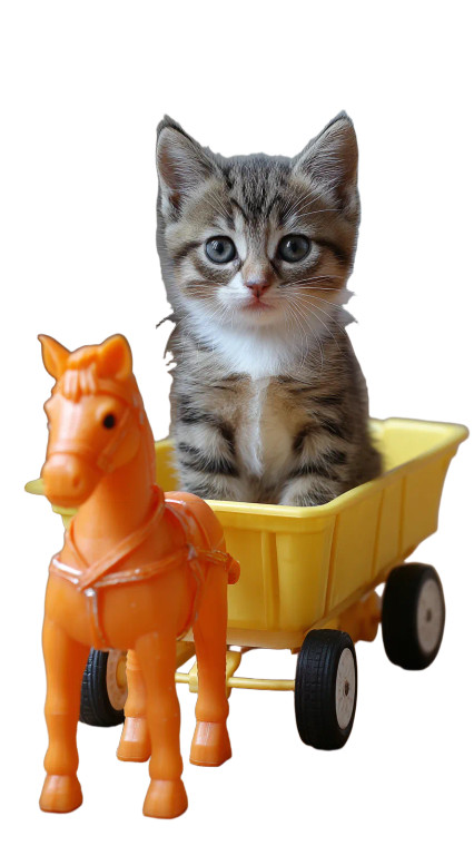 Curious Kitten Cart Vinyl Car Decal Sticker – Waterproof & UV-Resistant 9.706666666666667"