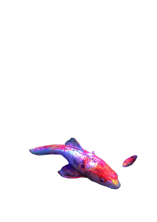 Spirit Koi Fish Vinyl Car Decal Sticker – Waterproof & UV-Resistant 8.746666666666666"