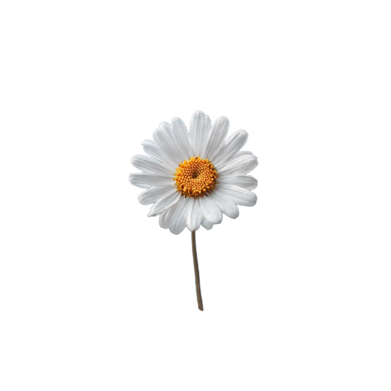 Daisy In Hand Vinyl Car Decal Sticker – Waterproof & UV-Resistant 6.826666666666667"