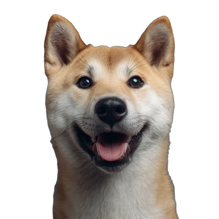 Shiba Inu Face Vinyl Car Decal Sticker – Waterproof & UV-Resistant 3.4133333333333336"