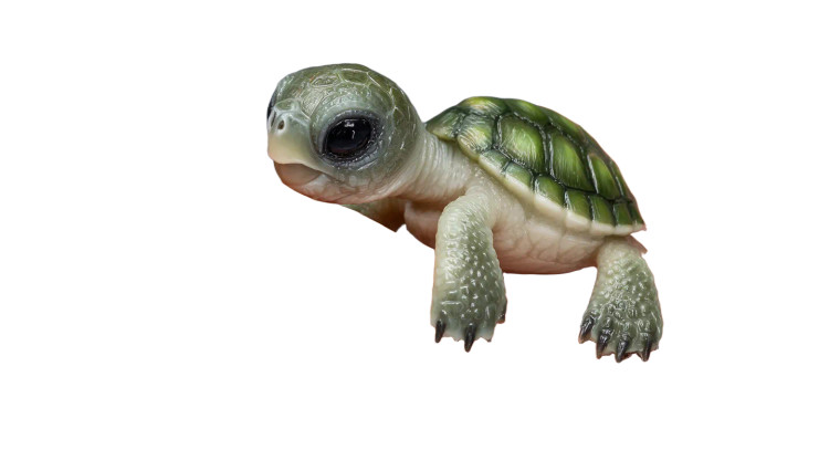 Miniature Turtle Chewing Vinyl Car Decal Sticker – Waterproof & UV-Resistant 2.72"
