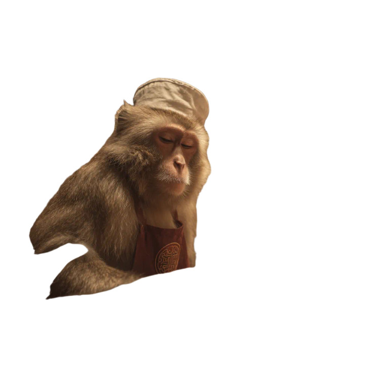 Chef Macaque Meddling Vinyl Car Decal Sticker – Waterproof & UV-Resistant 3.4133333333333336"