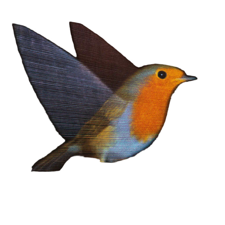 Hyperspeed Robin Vinyl Car Decal Sticker – Waterproof & UV-Resistant 3.4133333333333336"