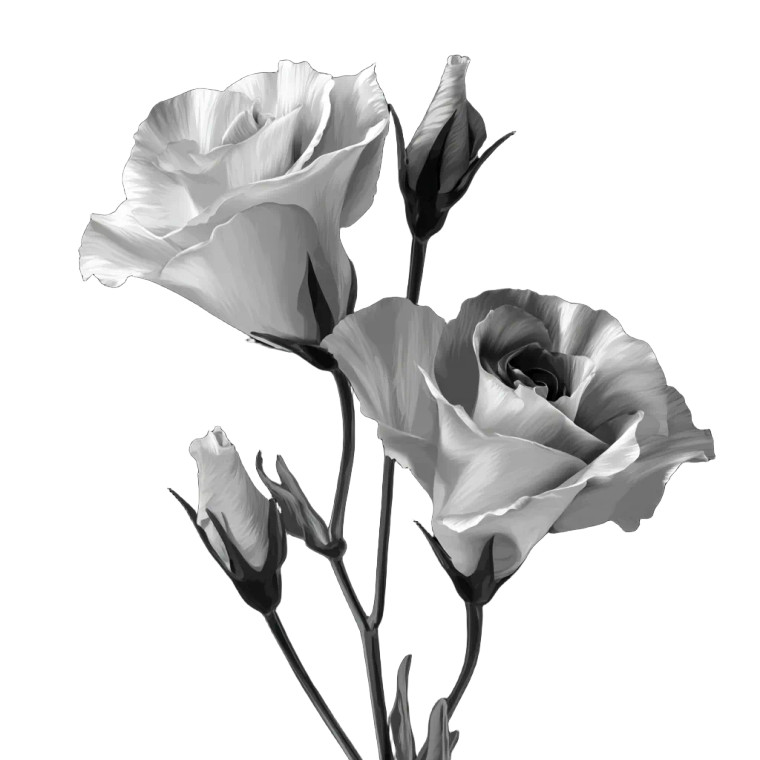 Eustoma Illustration Vinyl Car Decal Sticker – Waterproof & UV-Resistant 6.826666666666667"