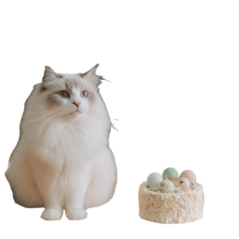 Cat Birthday Celebration Vinyl Car Decal Sticker – Waterproof & UV-Resistant 3.4133333333333336"