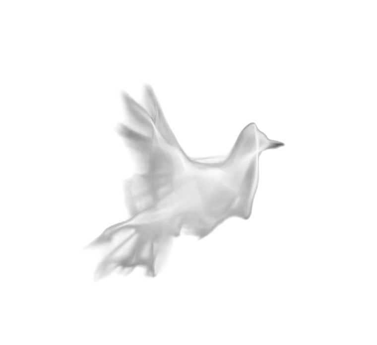 Ethereal Bird Silhouettes Vinyl Car Decal Sticker – Waterproof & UV-Resistant 3.4133333333333336" Ethereal Bird Silhouettes Vinyl Car Decal Sticker – Waterproof & UV-Resistant 3.4133333333333336"