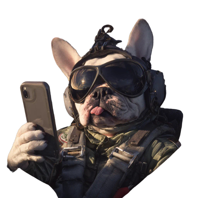 Pilot Bulldog Selfie Vinyl Car Decal Sticker – Waterproof & UV-Resistant 3.4133333333333336"