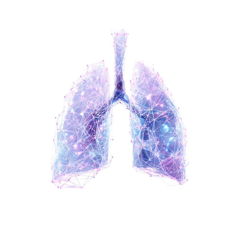 Glowing Polygonal Lungs V2 Vinyl Car Decal Sticker – Waterproof & UV-Resistant 6.826666666666667"