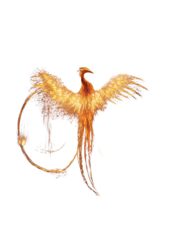 Magic Firebird Rising Vinyl Car Decal Sticker – Waterproof & UV-Resistant 8.213333333333333"