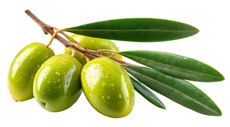 Green Olives V3 Vinyl Car Decal Sticker – Waterproof & UV-Resistant 5.4