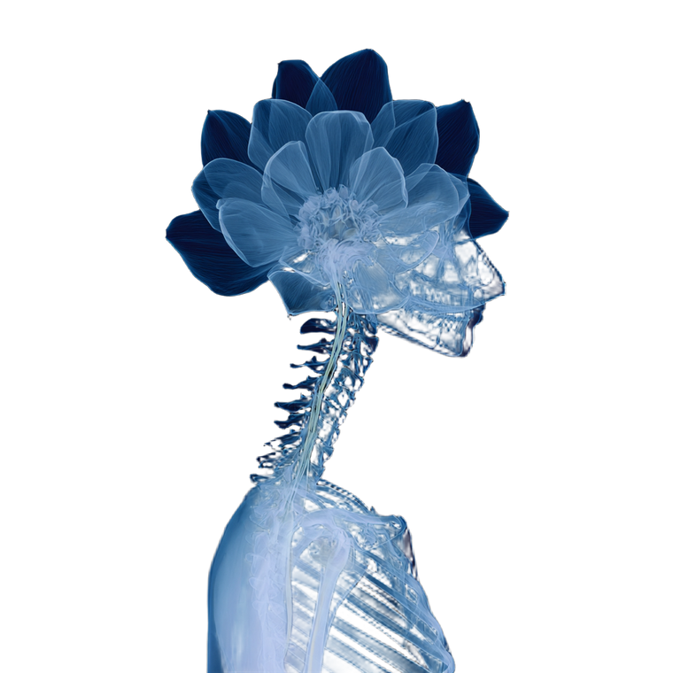 Skyl With Flower Vinyl Car Decal Sticker – Waterproof & UV-Resistant 6.826666666666667"