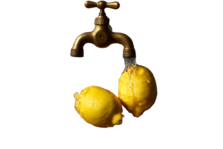 Hands Holding Lemons V2 Vinyl Car Decal Sticker – Waterproof & UV-Resistant 5.97333333333333