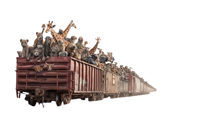 Zoo Animals On Train Vinyl Car Decal Sticker – Waterproof & UV-Resistant 2.72"