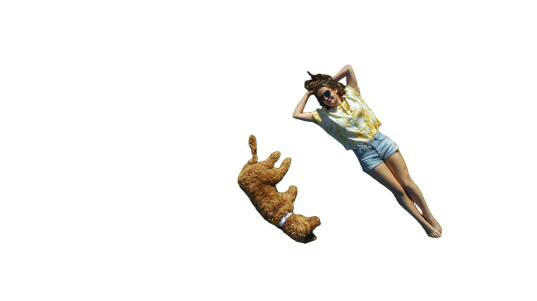 Relaxing Park Morning Vinyl Car Decal Sticker – Waterproof & UV-Resistant 2.72"